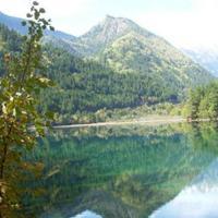 專注入境旅游業務，打造卓越旅行體驗