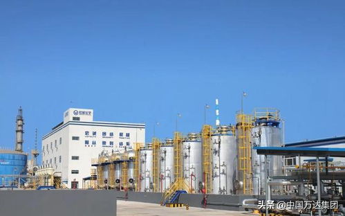 東營(yíng)2021年重點(diǎn)項(xiàng)目觀摩 萬(wàn)達(dá)集團(tuán)四大項(xiàng)目引領(lǐng)產(chǎn)業(yè)升級(jí)，助推國(guó)內(nèi)旅游業(yè)務(wù)發(fā)展